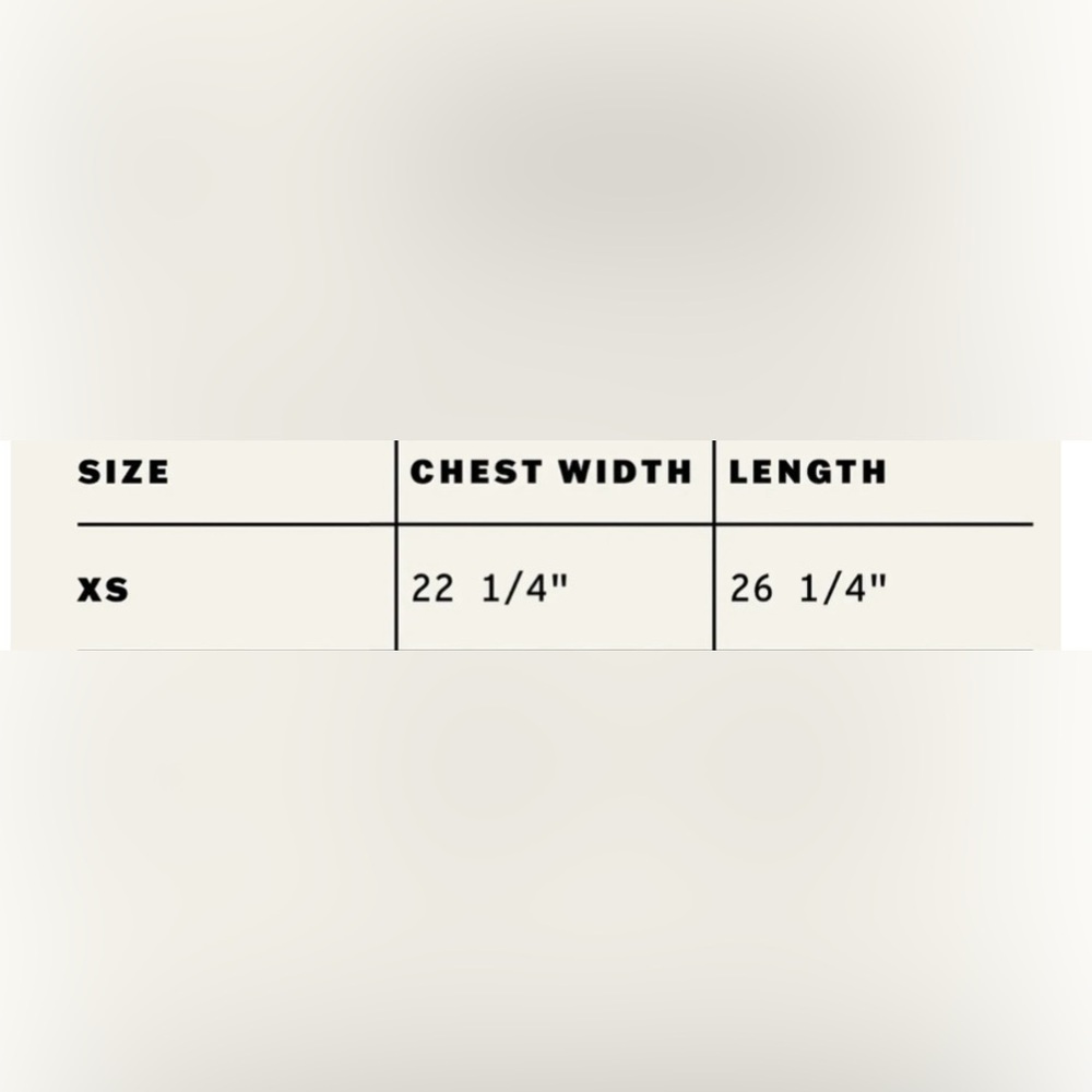 NWT Daydreamer XS Beastie Boys Licensed to Ill Tour 1987 Merch Tee New - Picture 8 of 8